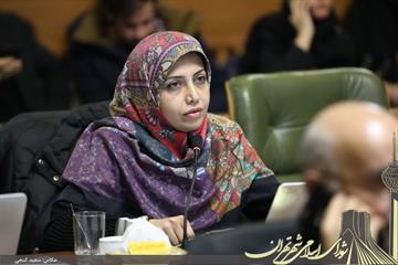 در جلسه شورا صورت گرفت: 2-179 تذکر عضو شورای شهر تهران به شهرداری درخصوص حمایت از حقوق افراد دارای معلولیت